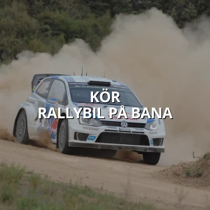 rallybil